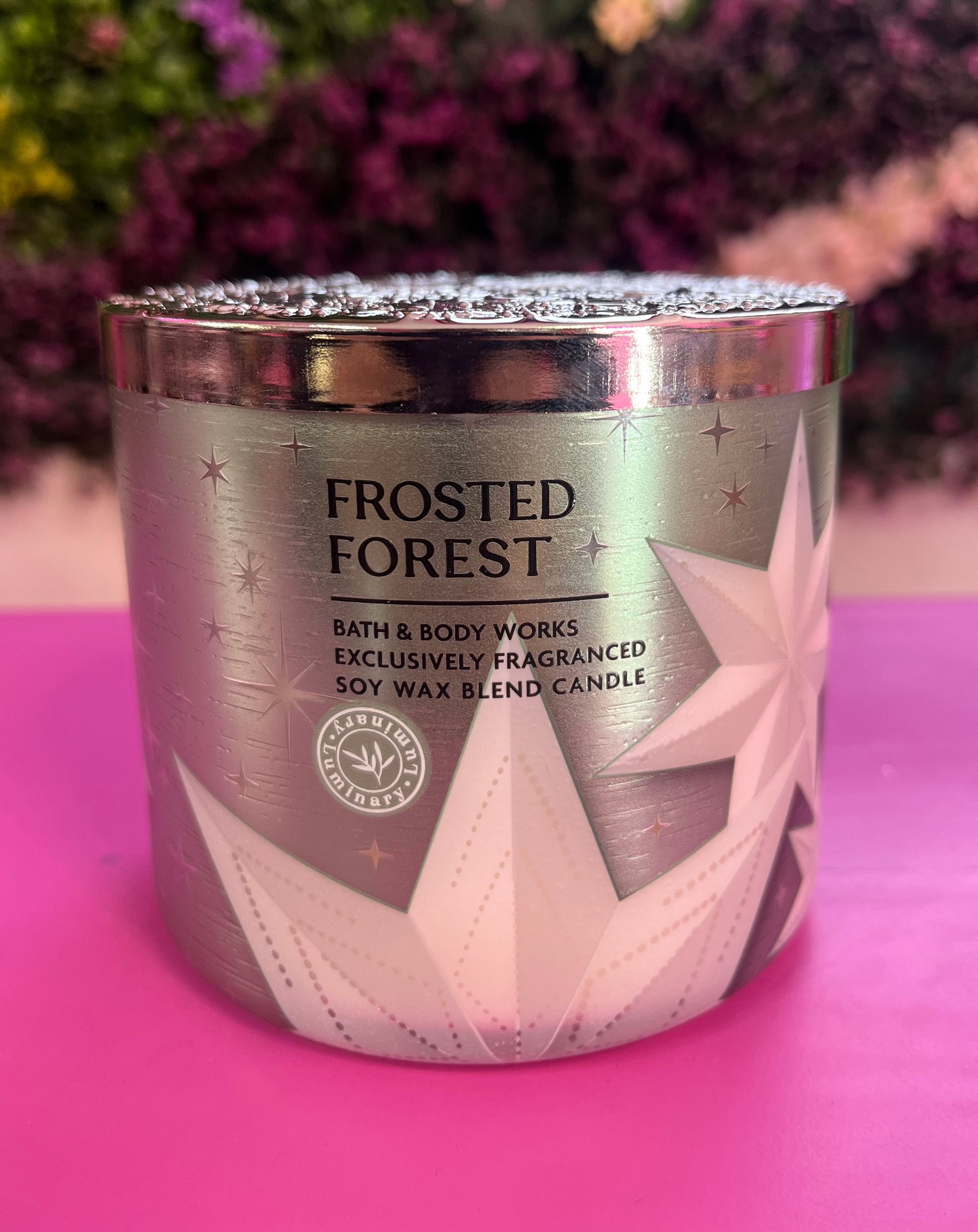 Vela Frosted Forest - Bath & Body Works